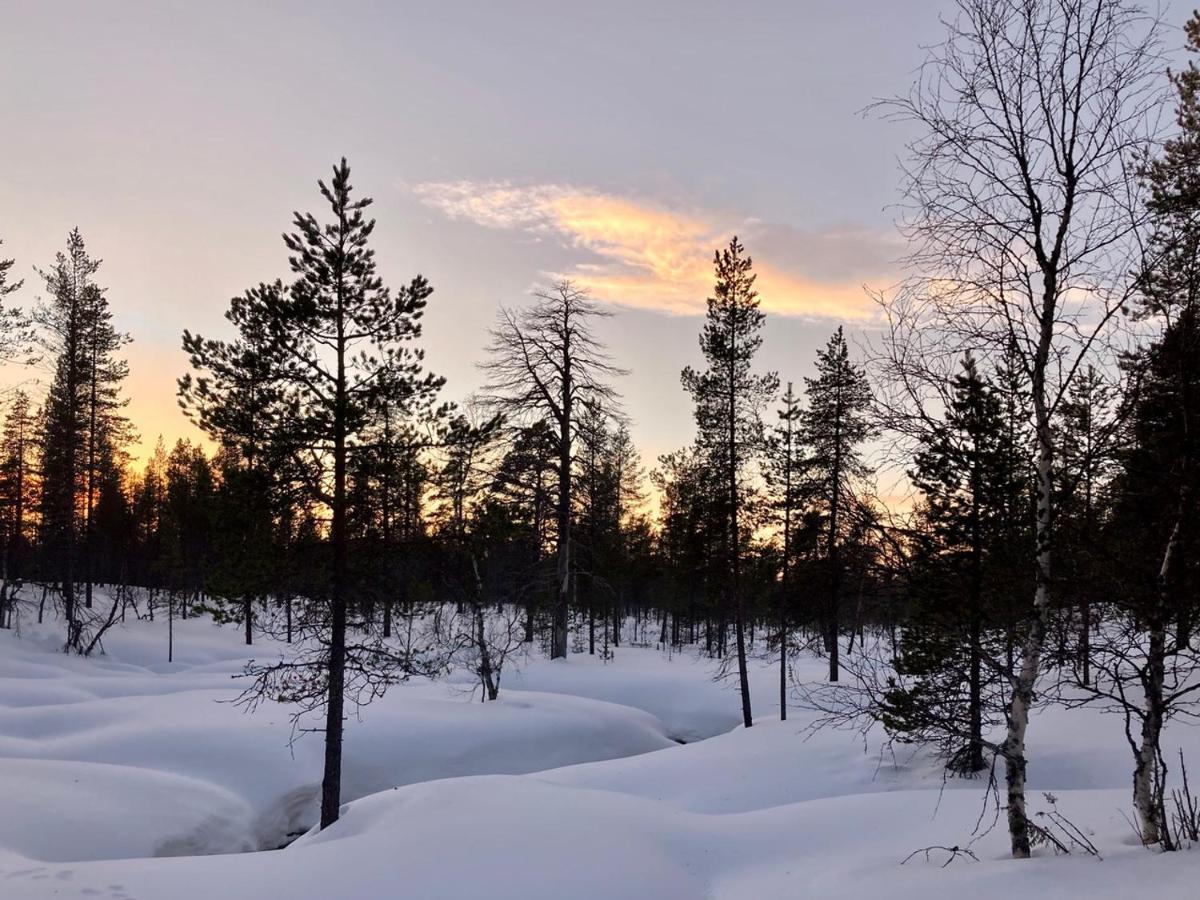 Kuukkeli Log Houses Aurora Cabin - Jaspis サーリセルカ エクステリア 写真