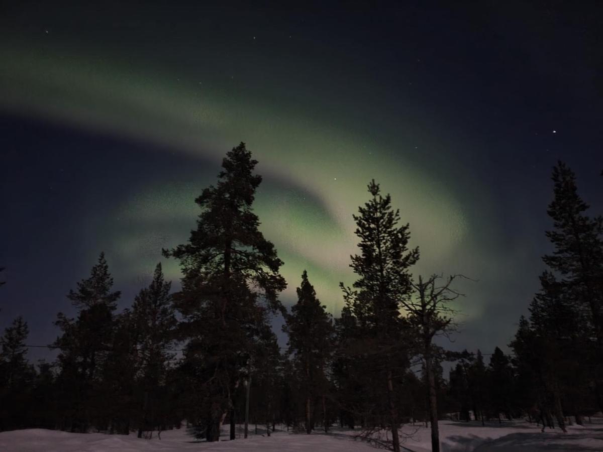 Kuukkeli Log Houses Aurora Cabin - Jaspis サーリセルカ エクステリア 写真
